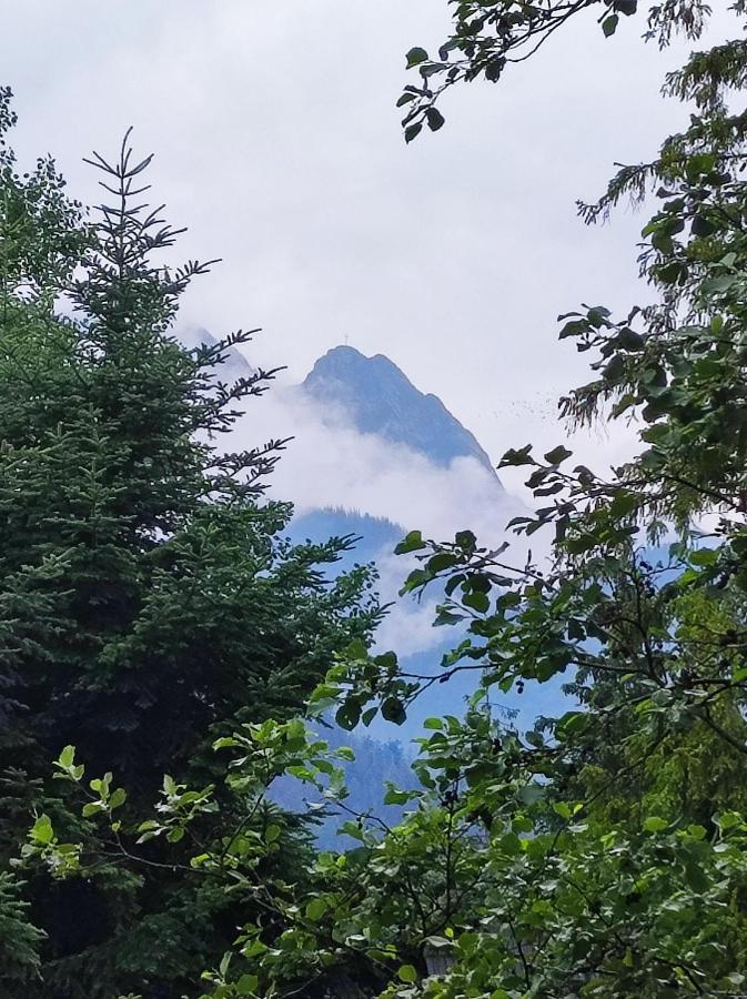 Pokoje Goscinne "Tecza" Zakopane Exteriör bild