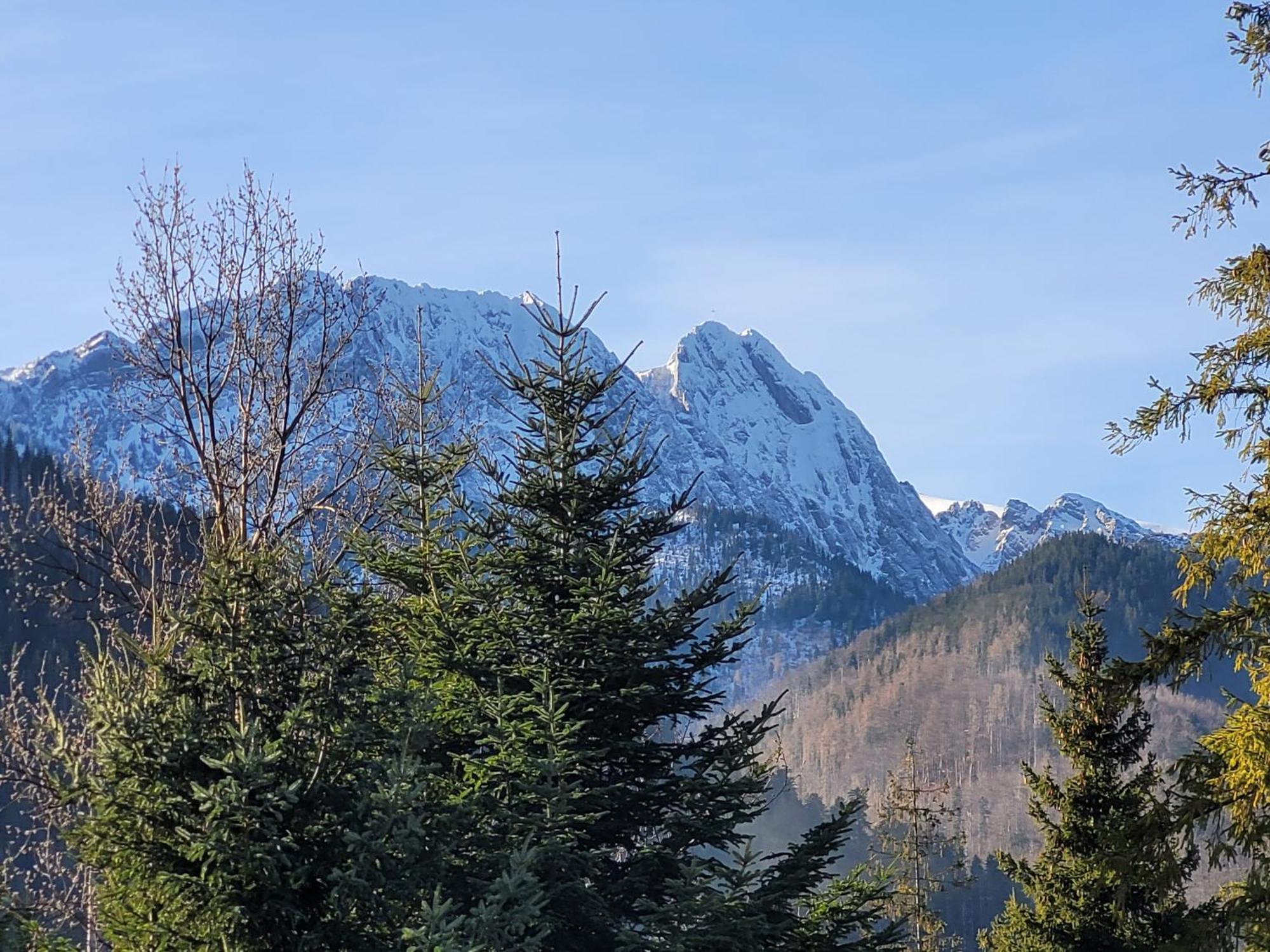 Pokoje Goscinne "Tecza" Zakopane Exteriör bild