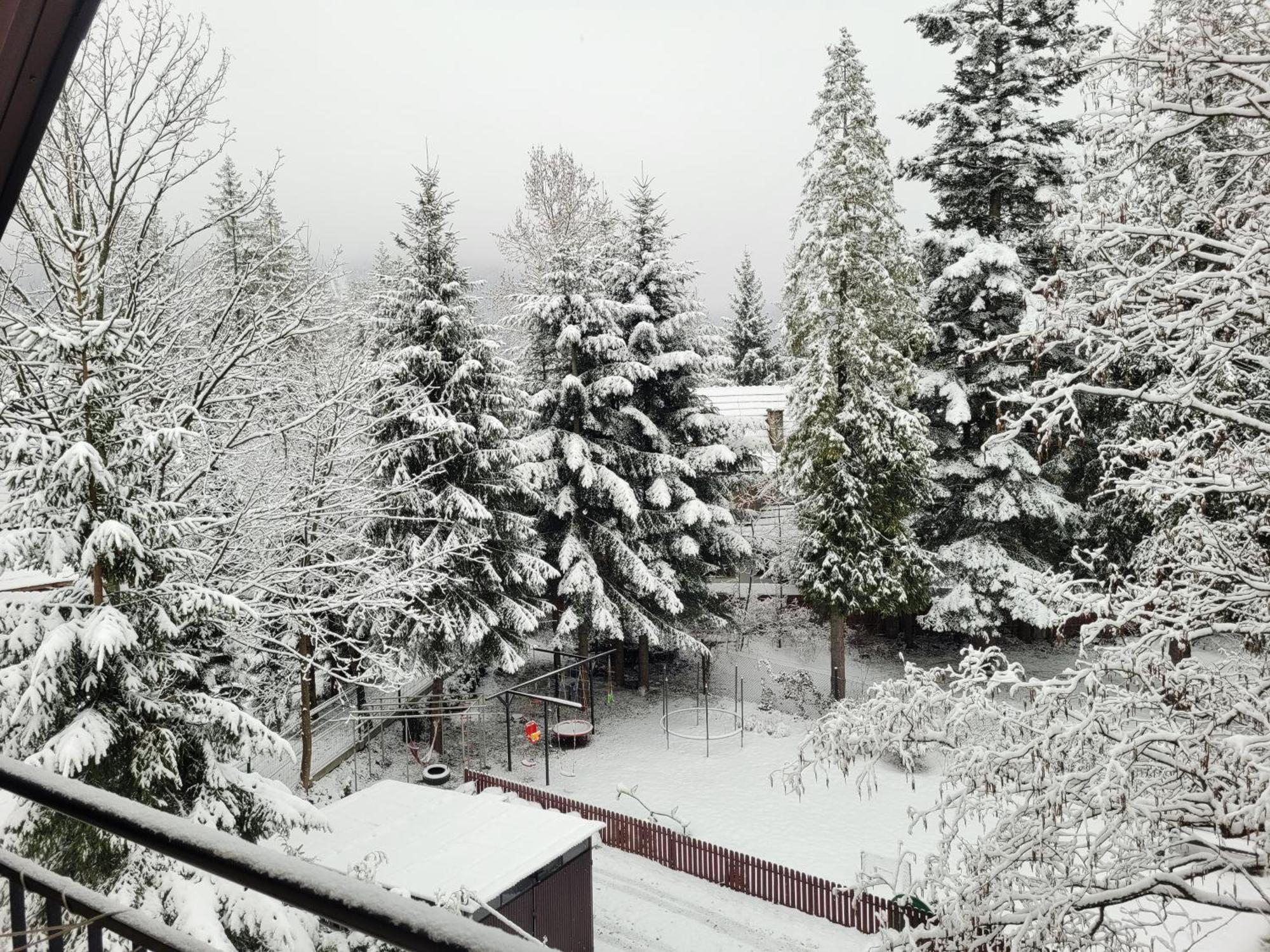 Pokoje Goscinne "Tecza" Zakopane Exteriör bild