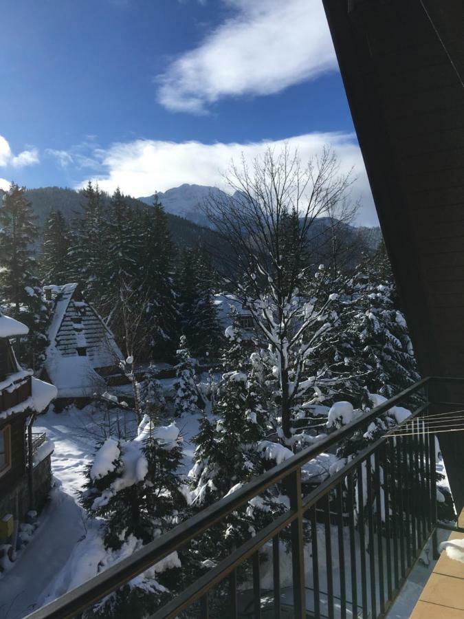 Pokoje Goscinne "Tecza" Zakopane Exteriör bild